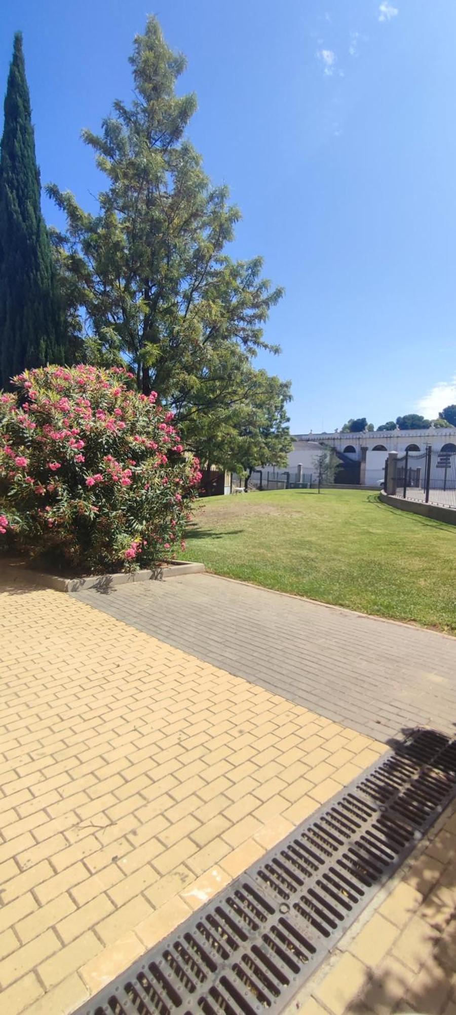 Апартаменты Cuatro Caminos Centro Jerez Херес-де-ла-Фронтера Экстерьер фото